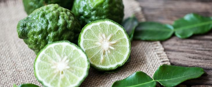 La fragancia de la Bergamota: Un viaje sensorial único